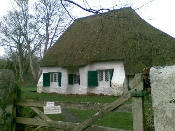 Thatched white-walled cottage